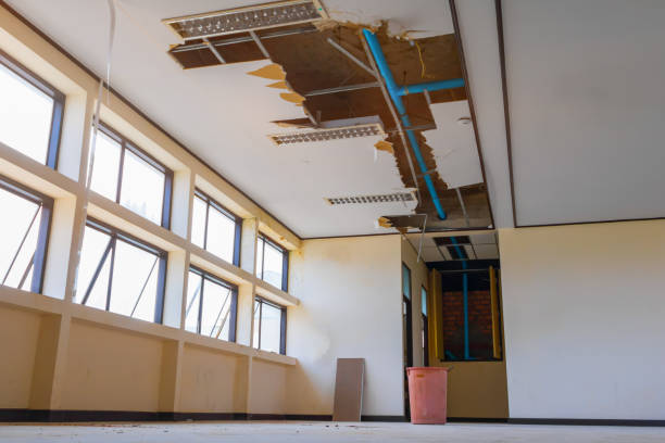 Best Carpet water damage restoration  in Paris, TN
