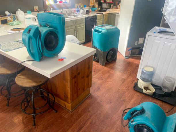 Water damage restoration mold remediation in TN