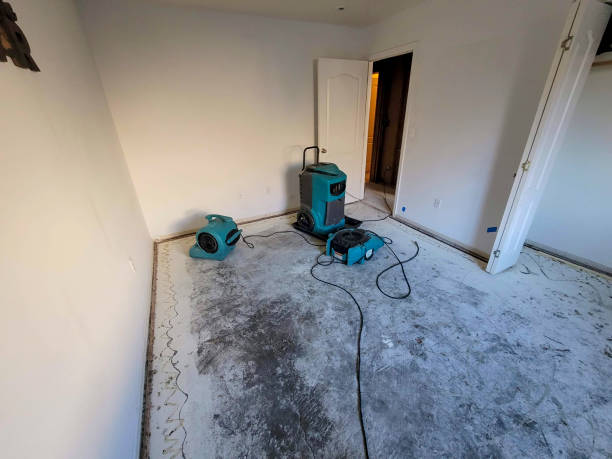 Best Water damage restoration insurance claims  in Paris, TN