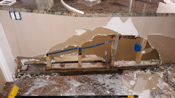 Best Water damage restoration process  in Paris, TN