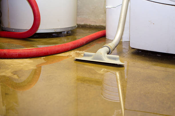 Best Professional water damage repair  in Paris, TN