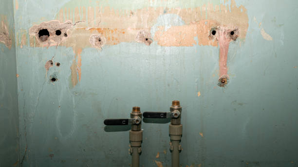 Best Ceiling water damage repair  in Paris, TN
