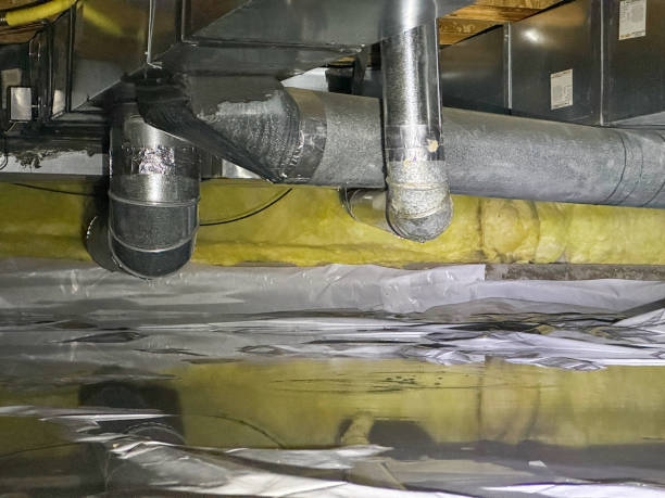 Best Flooded house restoration  in Paris, TN