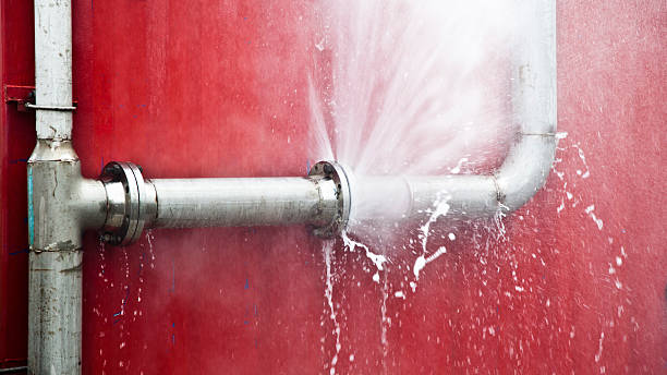 Carpet water damage restoration in TN